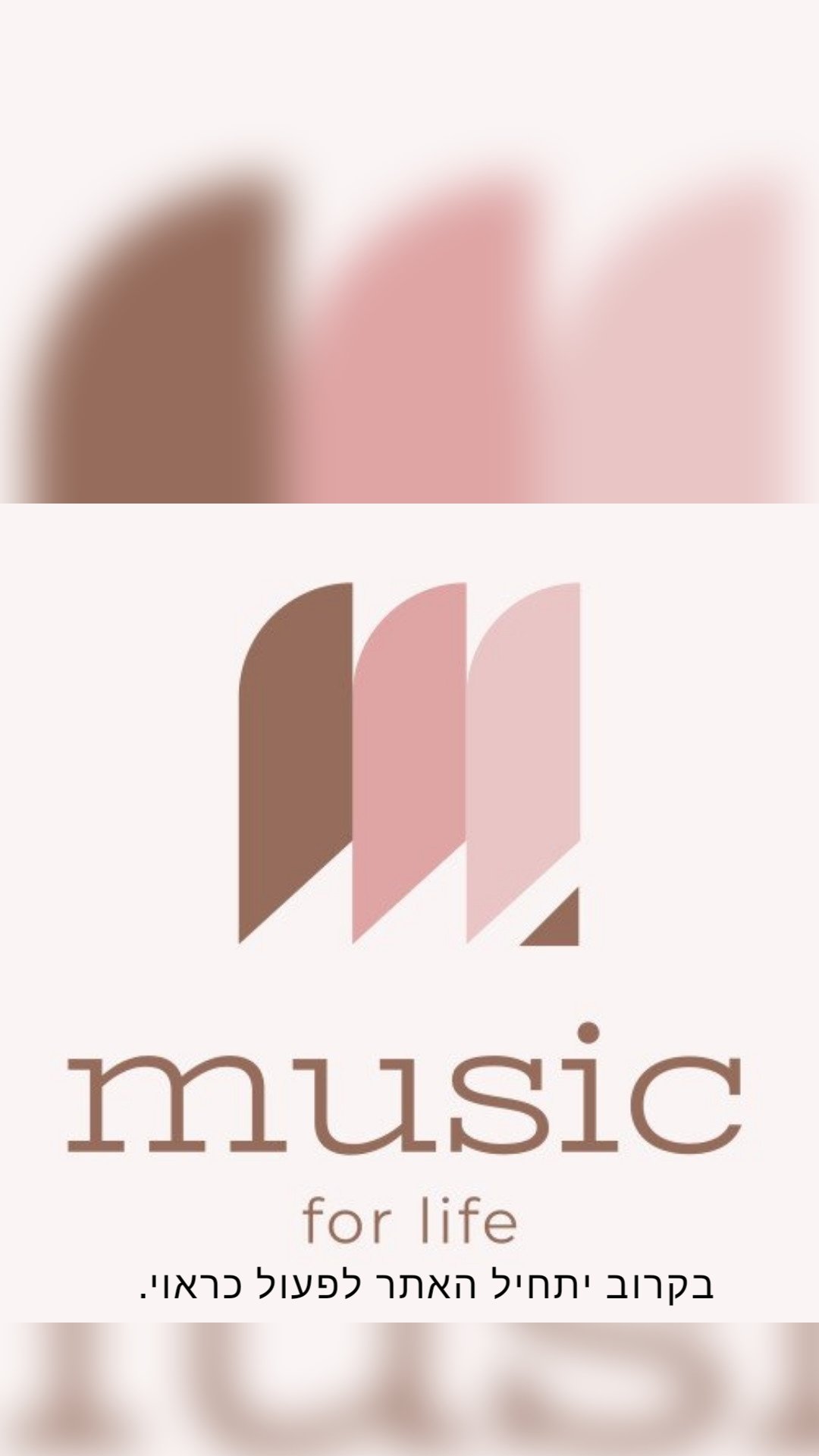 בקרוב יתחיל האתר לפעול כראוי.